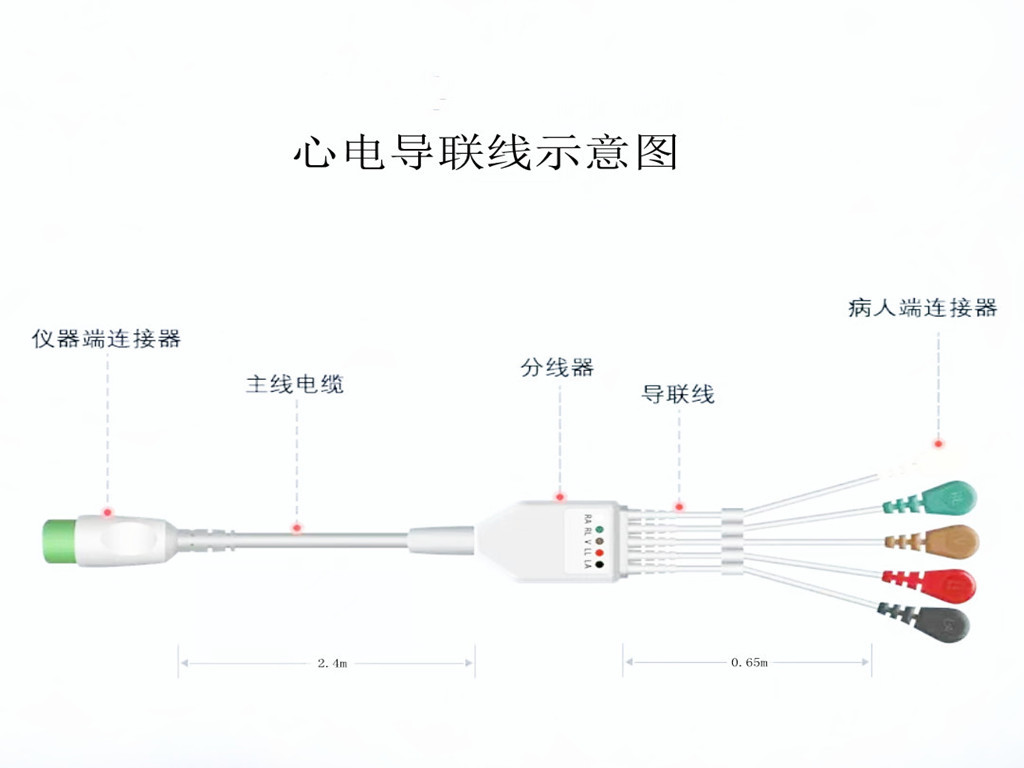 好色直播下载心電導聯線