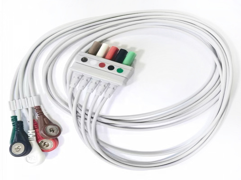 好色直播下载心電導聯線